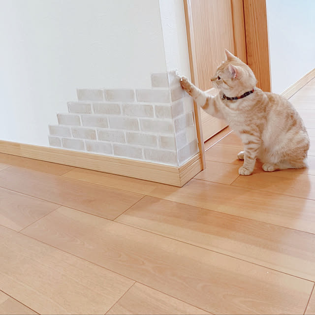 m.k.mさんの実例写真