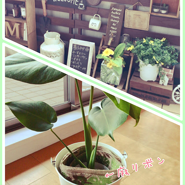 naturalさんの実例写真