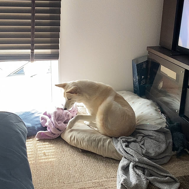 tanboさんの部屋