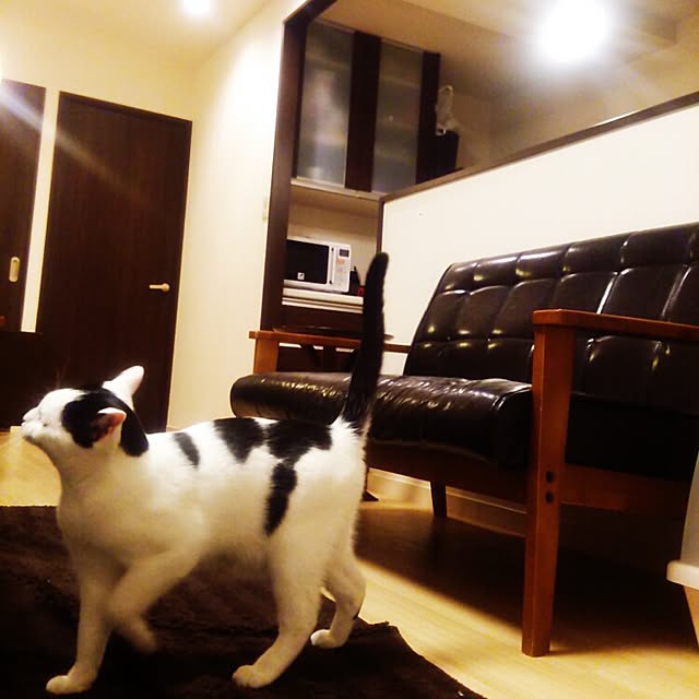 noguchiken0102さんの実例写真