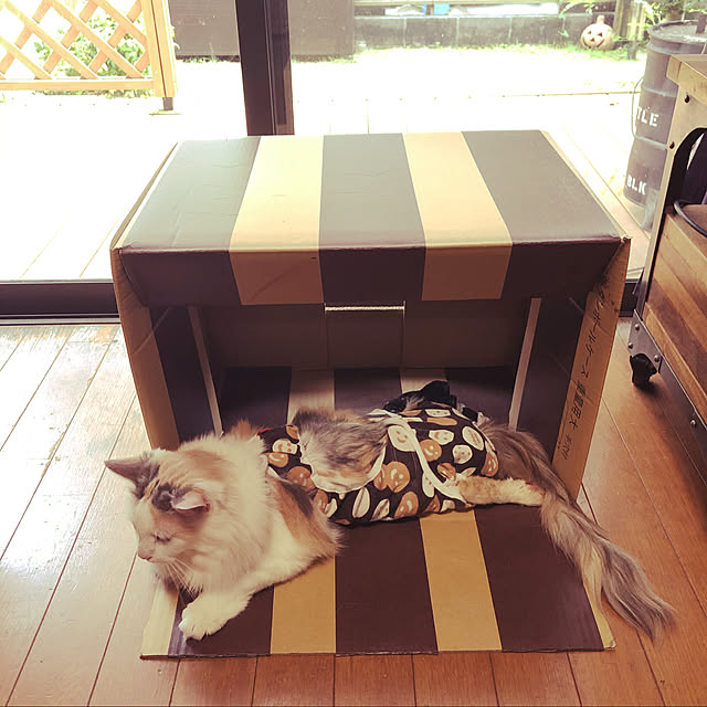 nakayoshinyankoさんの実例写真