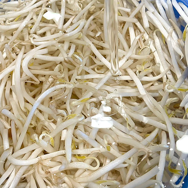 SIELUさんの部屋