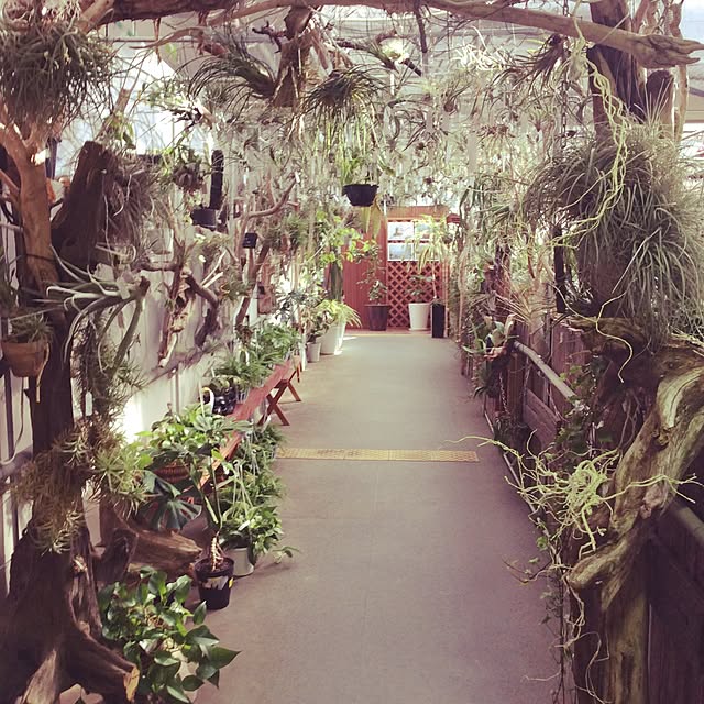 Plantexhibitionhallさんの実例写真
