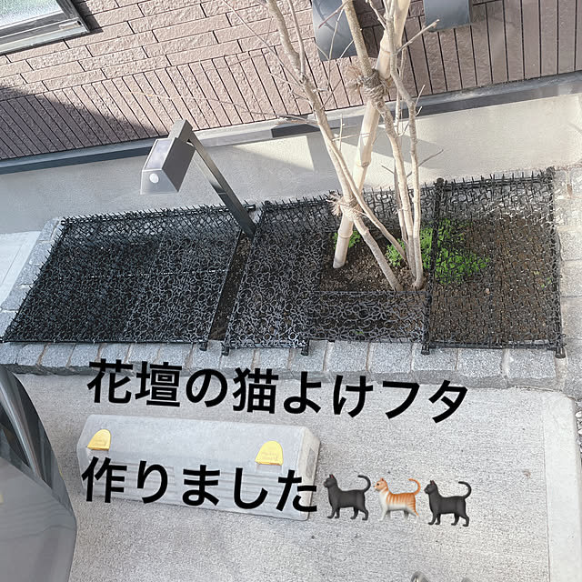 wakuwakuさんの実例写真