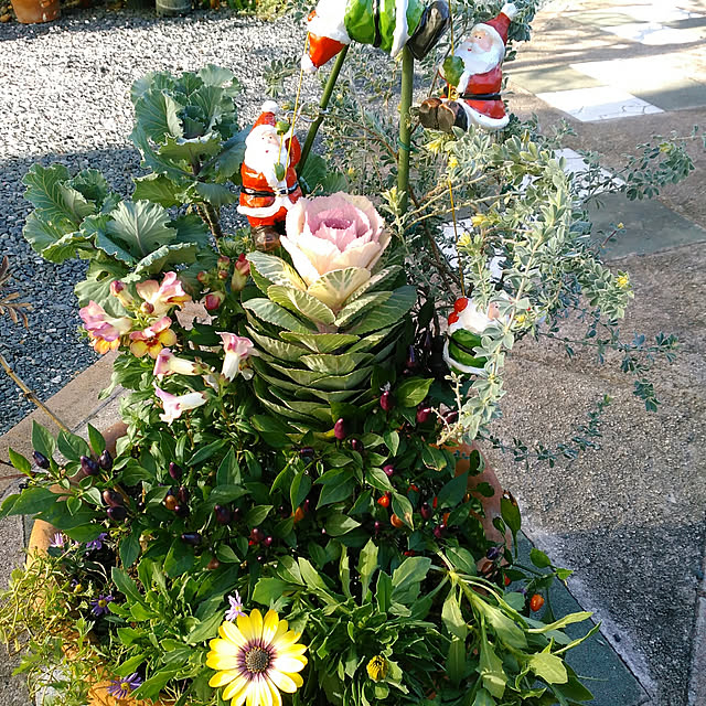 shoko0420さんの実例写真
