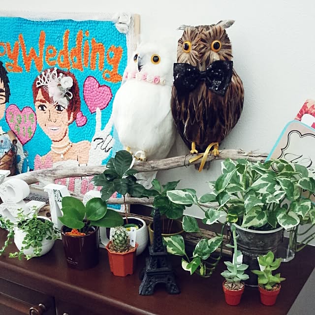 marinaさんの実例写真