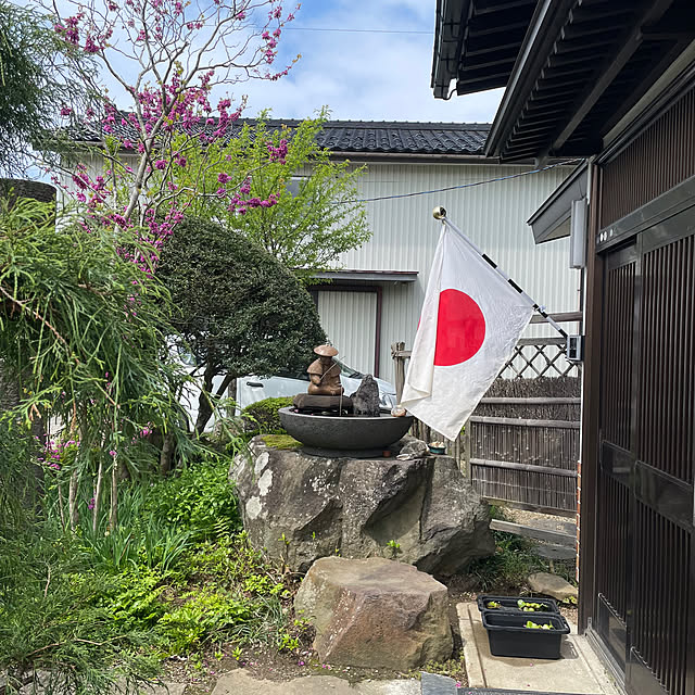 kikiさんの実例写真