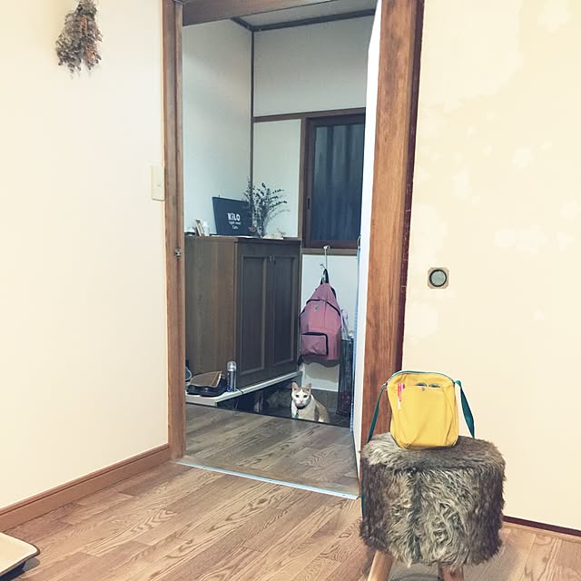 torarararikoさんの実例写真