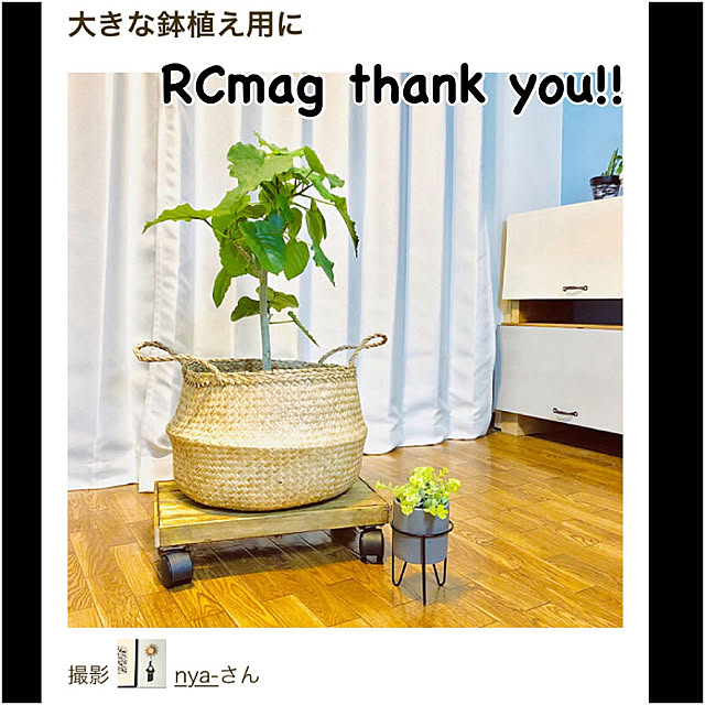 nya-さんの実例写真