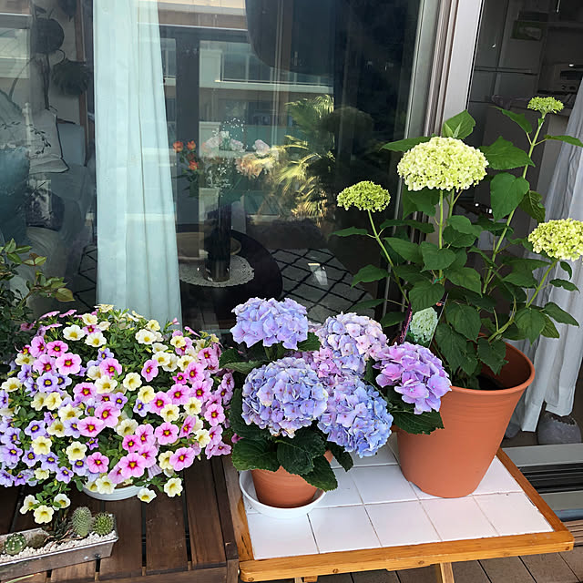 momonaさんの実例写真