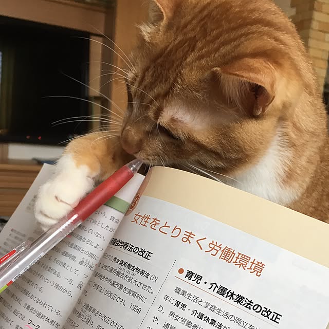 baronkotarouさんの実例写真