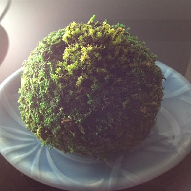 cannyさんの実例写真