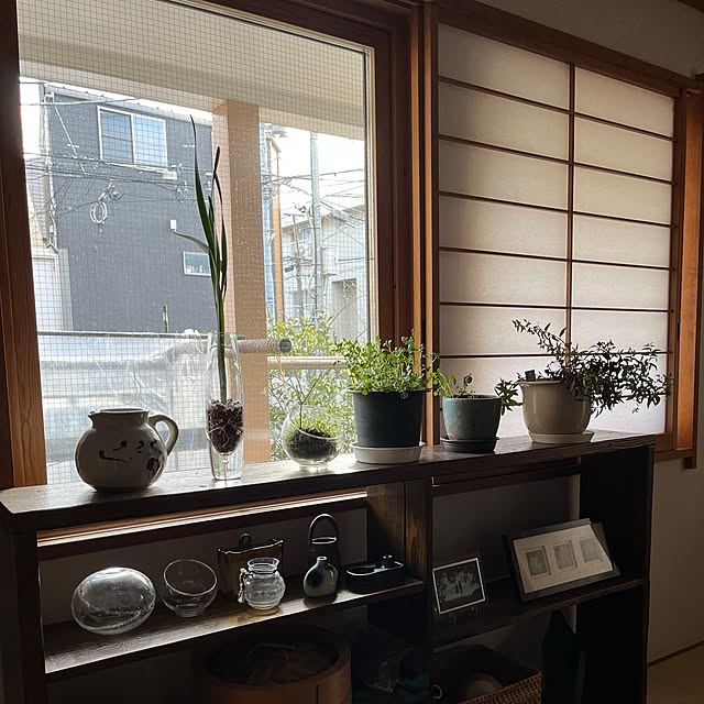 botanさんの部屋