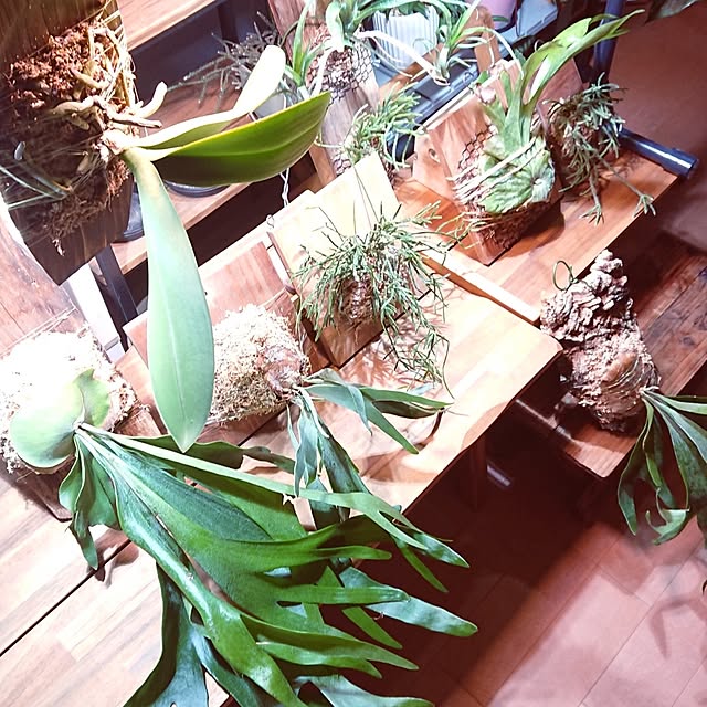 ot-gardenさんの実例写真