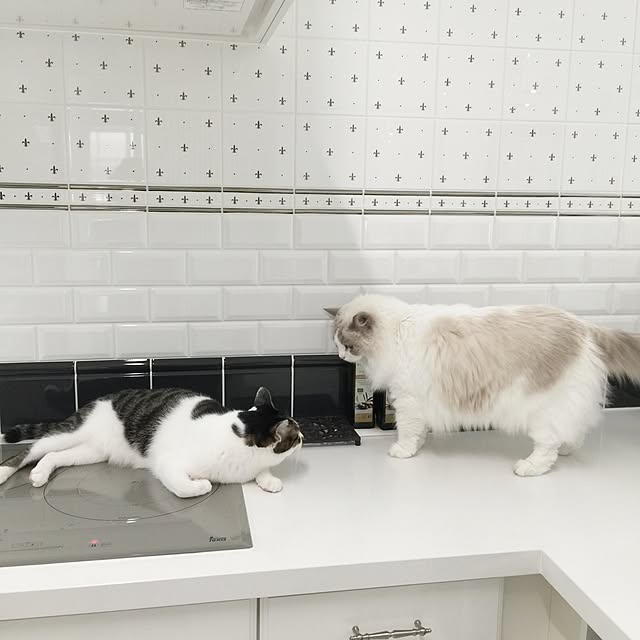 yuchiさんの実例写真