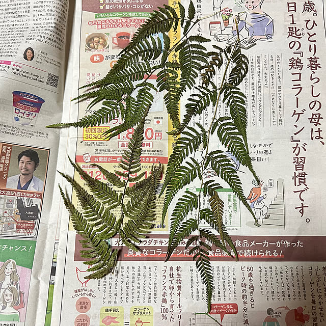 mizucchiさんの部屋