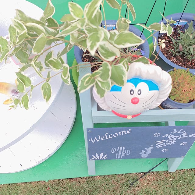 Miyumamaさんの部屋