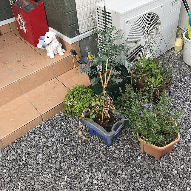 EMIKOさんの実例写真