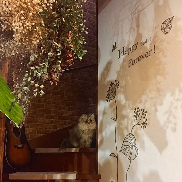 butachanさんの実例写真