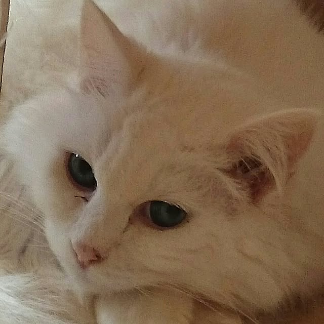 take4145さんの実例写真