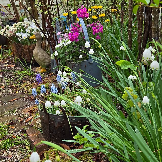 min_nimさんの実例写真