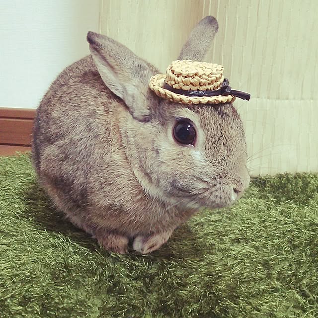 keynoteさんの実例写真