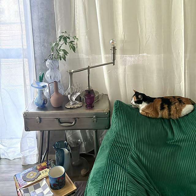 neko84さんの実例写真
