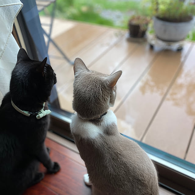taakoさんの実例写真