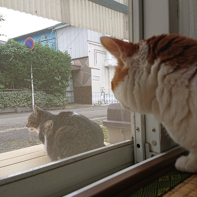 mugi77327732さんの実例写真