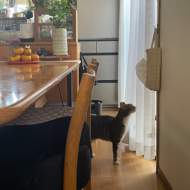 nobikoさんの部屋