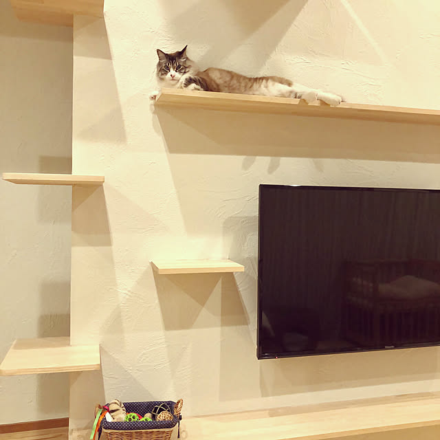 masyacanonさんの実例写真