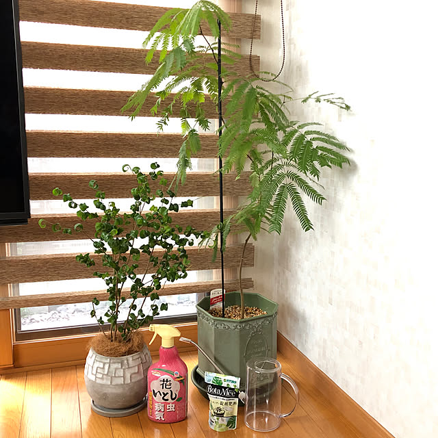 CoffeeHouseさんの実例写真