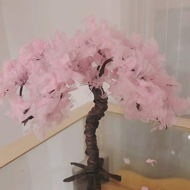 chisaさんの実例写真