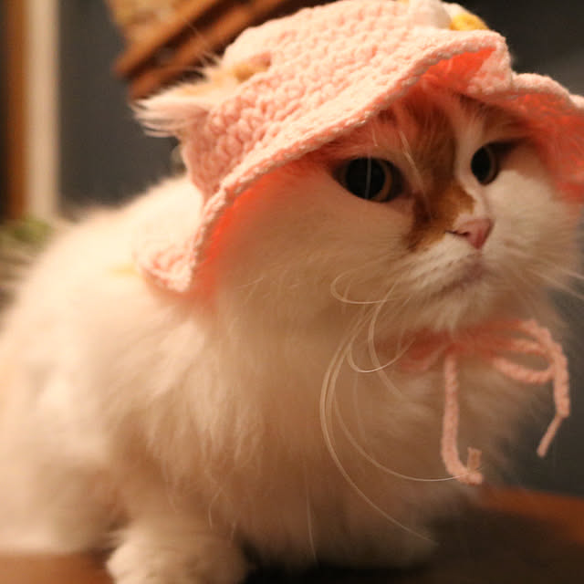 keiさんの部屋