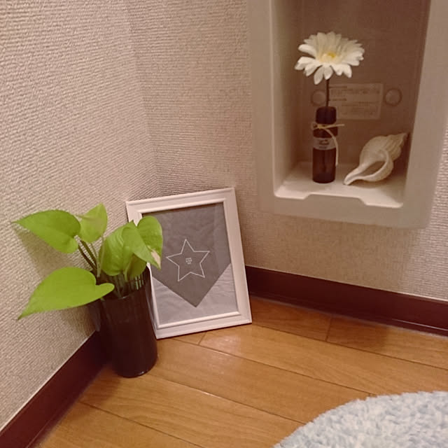 Noriさんの実例写真