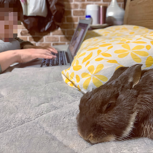 mo-nosukeさんの実例写真