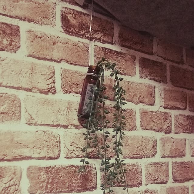 taketakeさんの実例写真