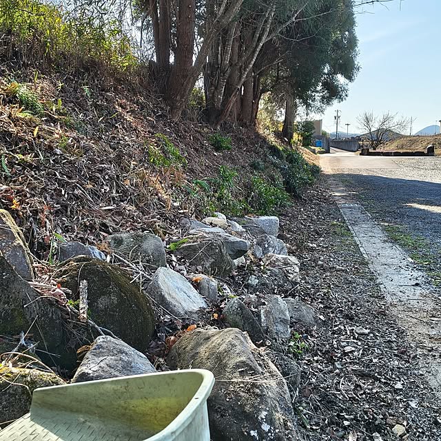 Rubiconさんの部屋