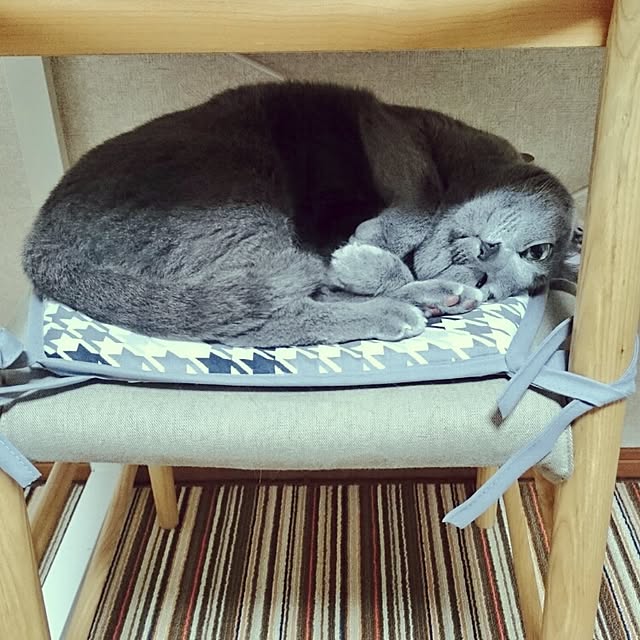kosame918さんの実例写真