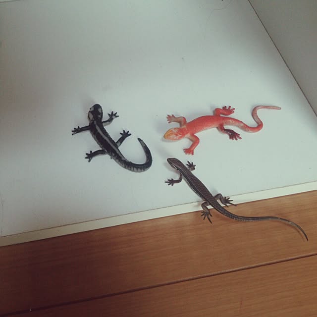 nikoさんの実例写真