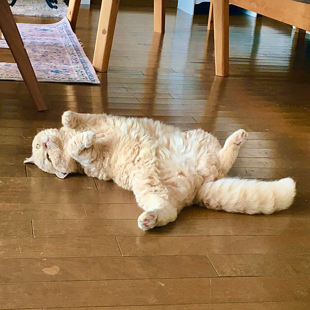 naokoさんの部屋