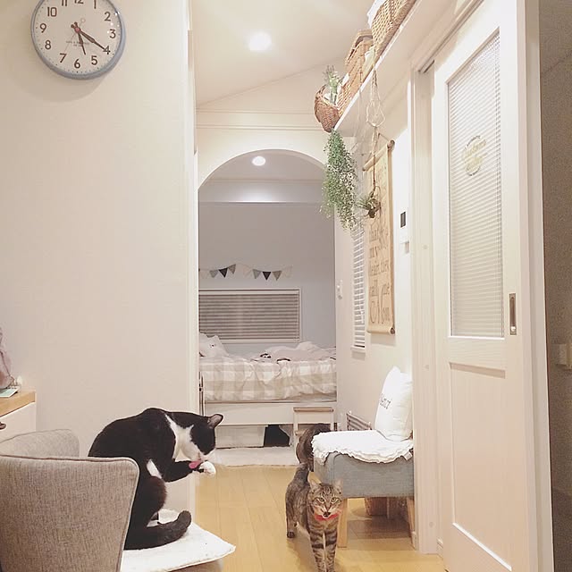 lovecatさんの実例写真
