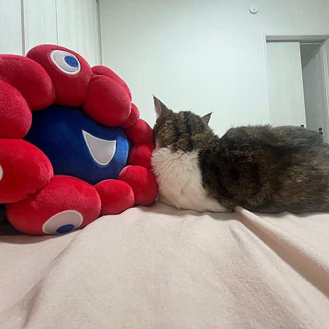 tiroさんの実例写真