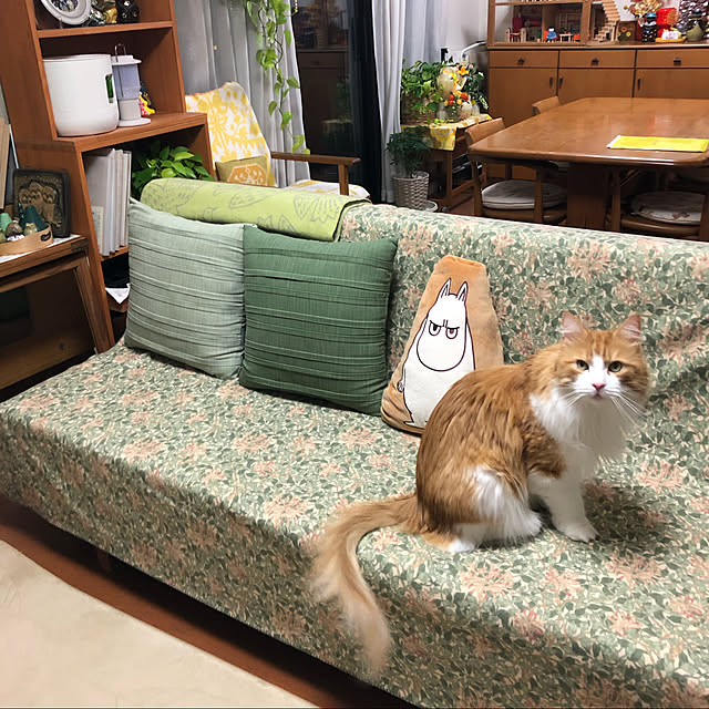 uchidaizuさんの実例写真