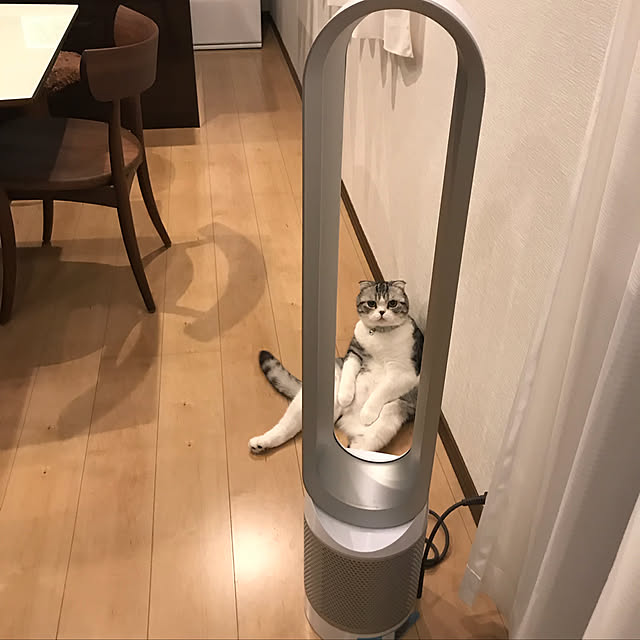 Dahliaさんの実例写真