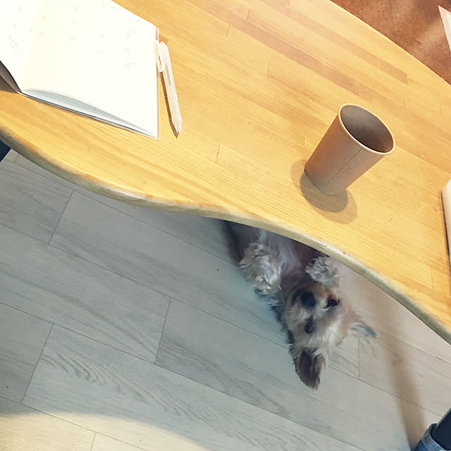 ohanaさんの実例写真