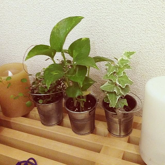 nishikooriさんの実例写真