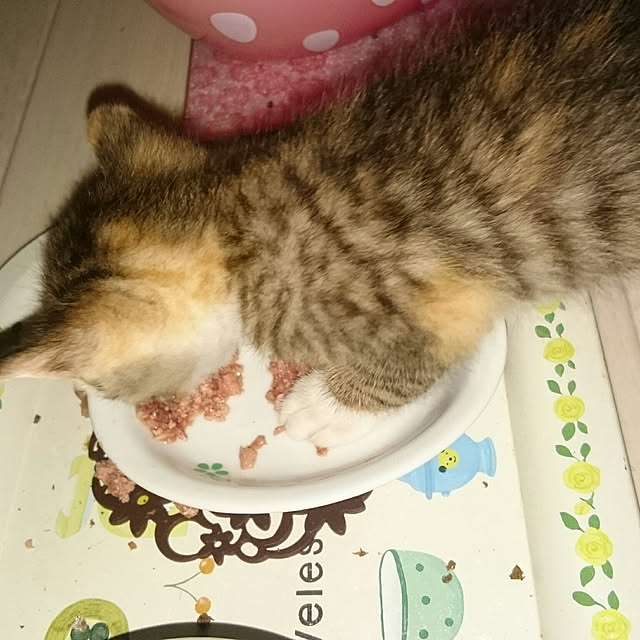 gurikoさんの実例写真