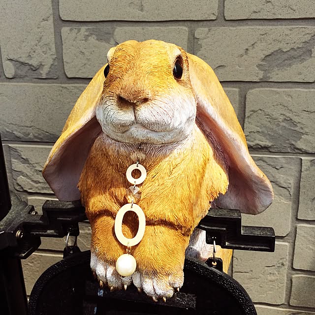 xoxoさんの実例写真