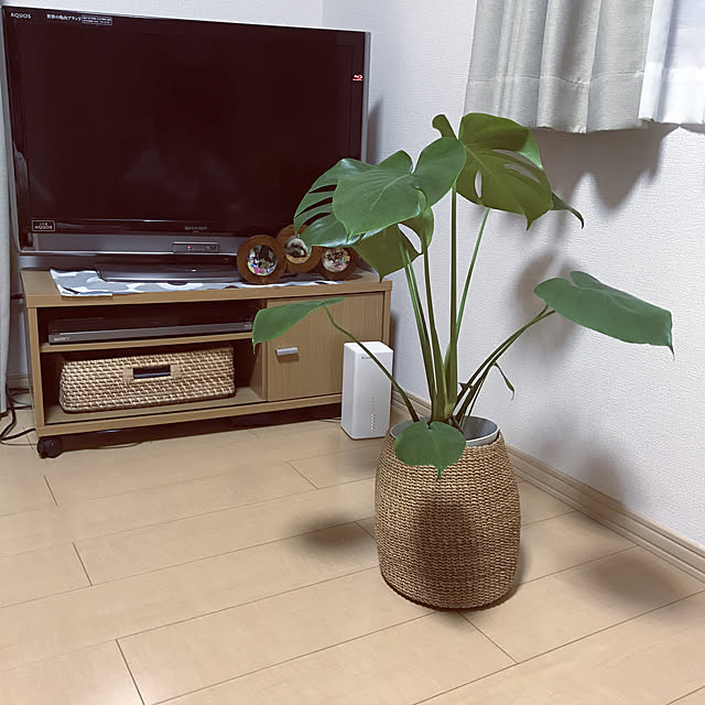 m.mさんの実例写真